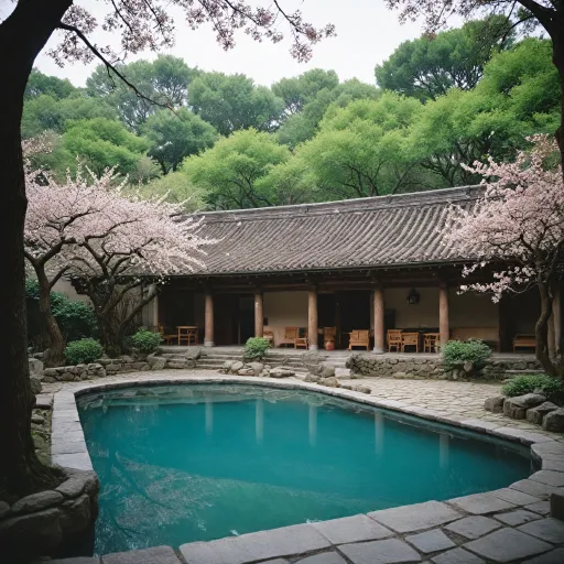 Hot springs hotel and spa experiences: booking premium Japanese inns for ultimate relaxation